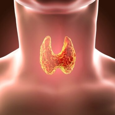 gut health and the thyroid